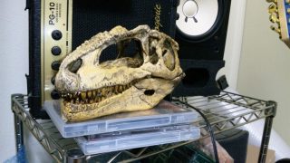 Thumbnail of post image 124